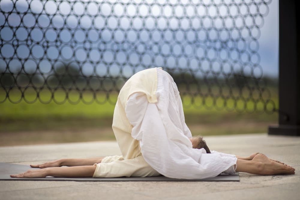Une flexion avant assise, la tête amenée vers le genou